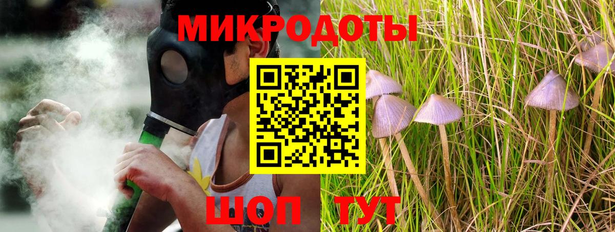 Галлюциногенные грибы MAGIC MUSHROOMS  Вход с VPN  Унеча  Псилоцибиновые грибы мухоморы 